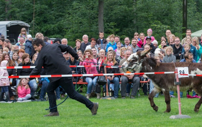 Eselrennen Hößlinswart_46