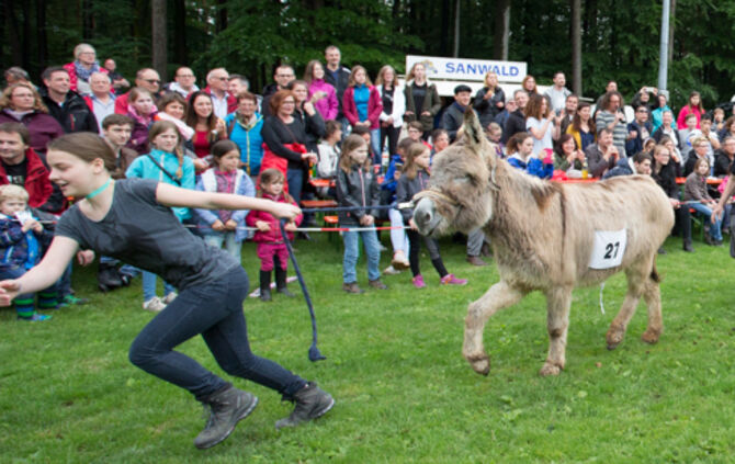 Eselrennen Hößlinswart_47