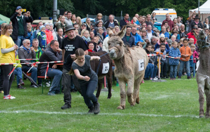 Eselrennen Hößlinswart_58