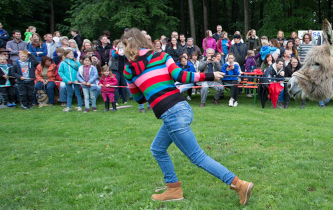 Eselrennen Hößlinswart_59
