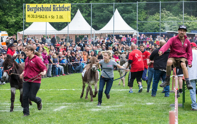 Eselrennen Hößlinswart_64