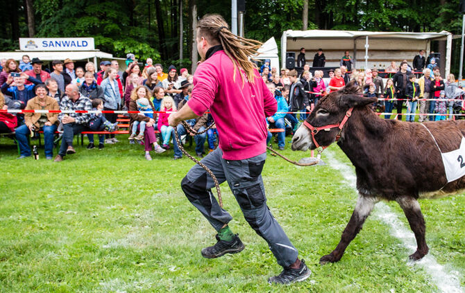 Eselrennen Hößlinswart_87