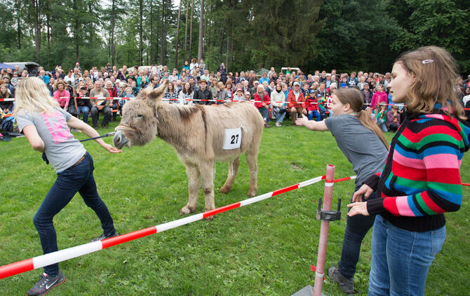 Eselrennen Hößlinswart_103
