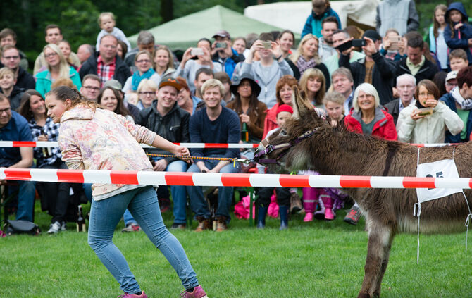 Eselrennen Hößlinswart_114