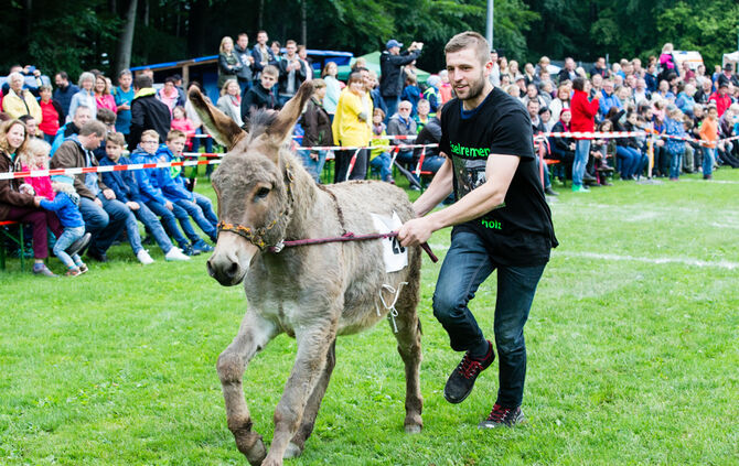 Eselrennen Hößlinswart_118