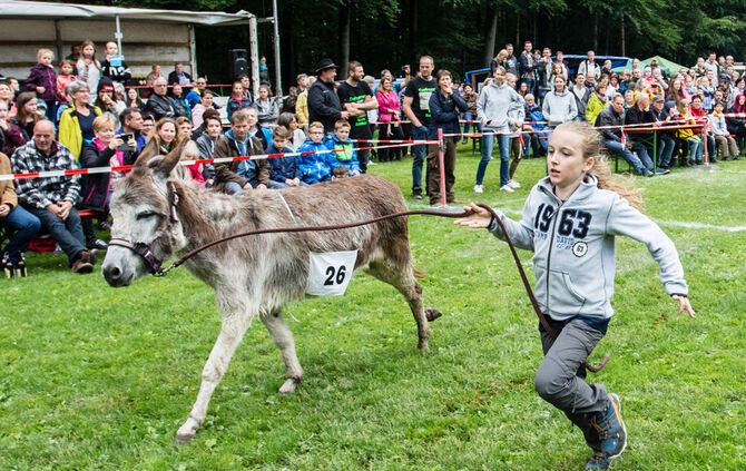 Eselrennen Hößlinswart_122