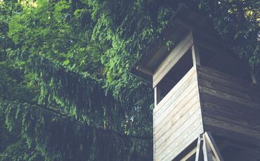 Hochsitz Jäger Jägerstand Jagd Symbol Symbolbild