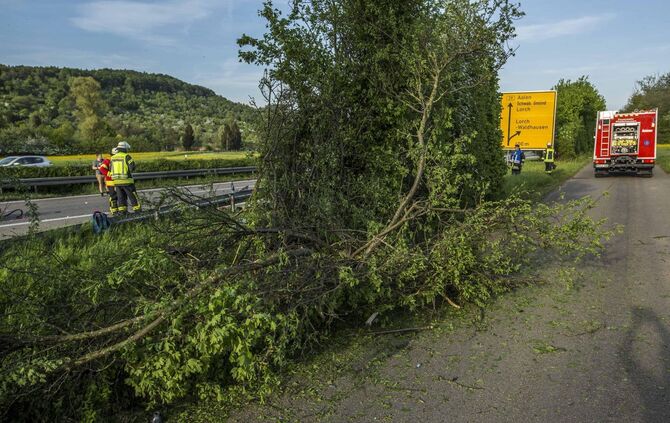 TÃ¶dlicher Horrorcrash auf B29: BMW kommt von Fahrbahn ab, kracht gegen Baum und Ã¼berschlÃ¤gt sich - 4 Verletzte und ein Toter_2