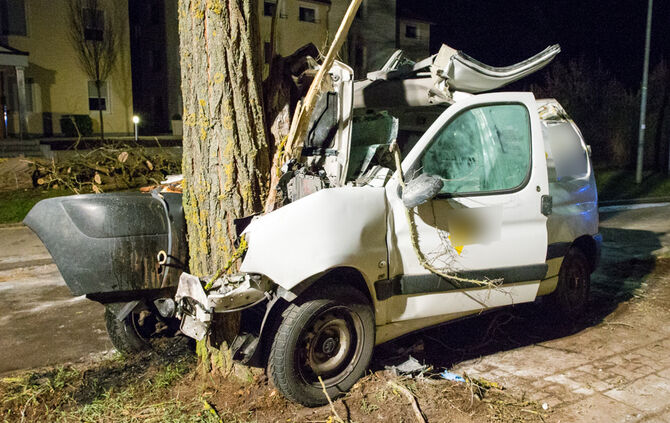 Kleintransporter prallt gegen Baum - Bild 18_0