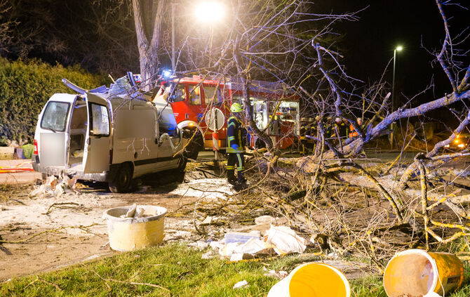 Kleintransporter prallt gegen Baum - Bild 23_1