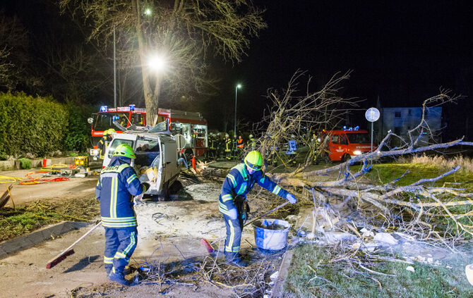 Kleintransporter prallt gegen Baum - Bild 17_6