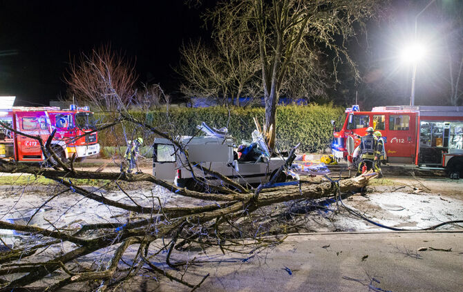 Kleintransporter prallt gegen Baum - Bild 15_8