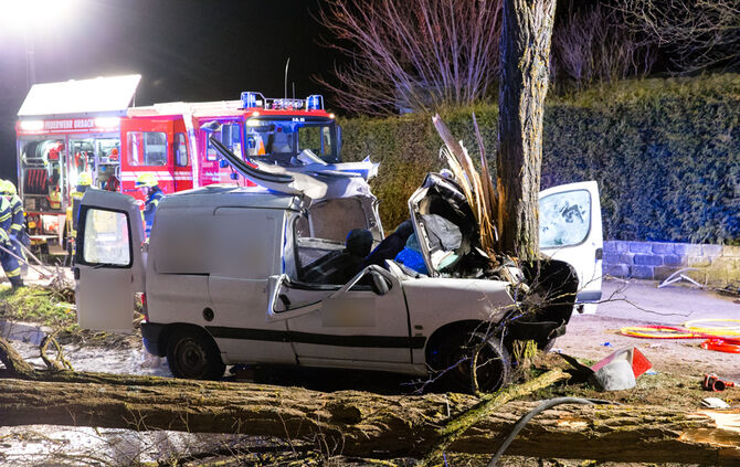 Kleintransporter prallt gegen Baum - Bild 14_9