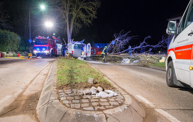 Kleintransporter prallt gegen Baum - Bild 09_14