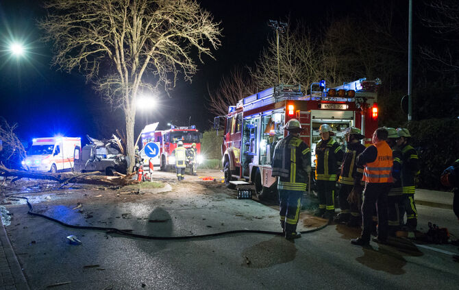 Kleintransporter prallt gegen Baum - Bild 08_15
