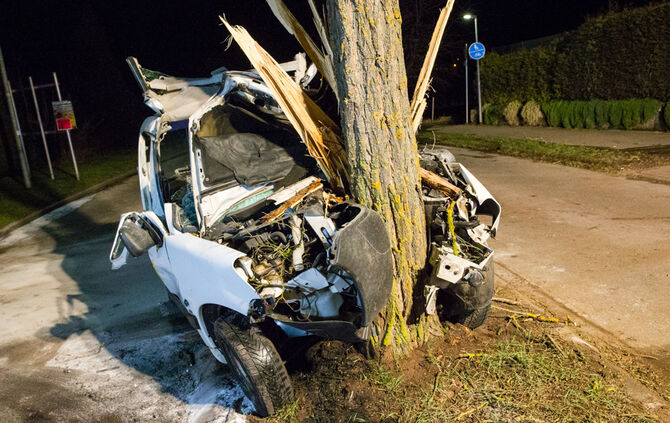 Kleintransporter prallt gegen Baum - Bild 07_16