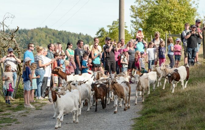 df0c1674-daaa-477b-9611-60919f8f8ddd.jpg_0