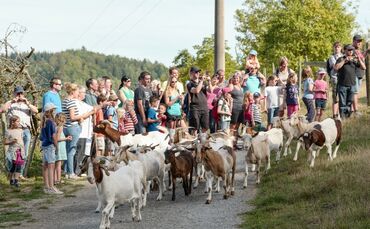 df0c1674-daaa-477b-9611-60919f8f8ddd.jpg_0