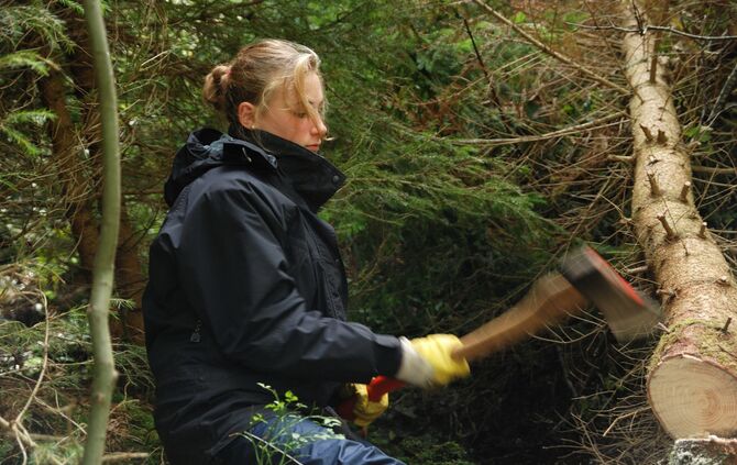 Stihl Waiblingen Bergwaldprojekt_0