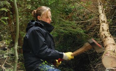 Stihl Waiblingen Bergwaldprojekt_0