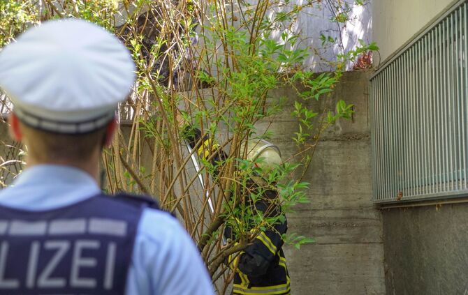 Feuerwehr Polizei Waschbär Klinikum Rettung Stuttgart_1