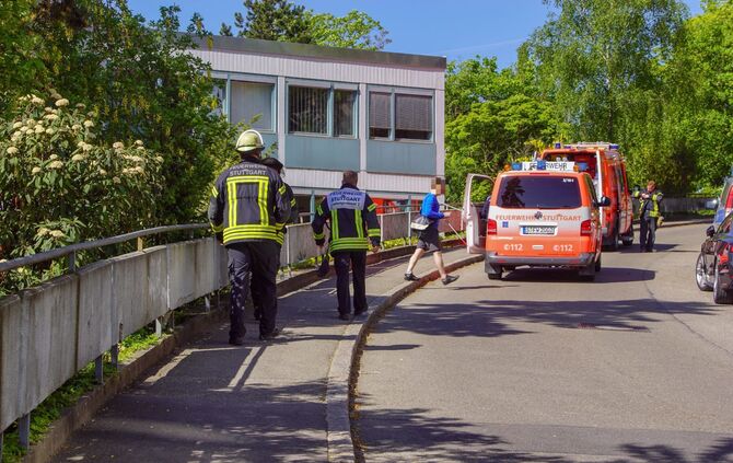 Feuerwehr Polizei Waschbär Klinikum Rettung Stuttgart_2