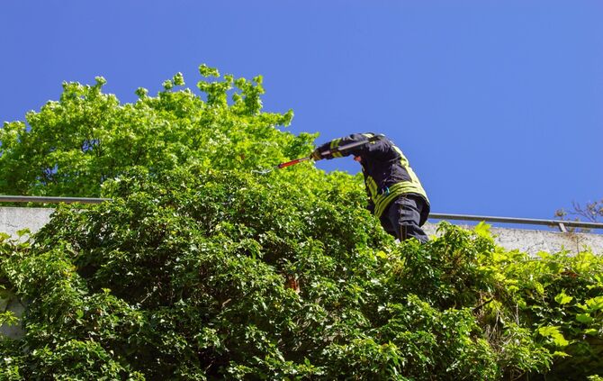 Feuerwehr Polizei Waschbär Klinikum Rettung Stuttgart_4