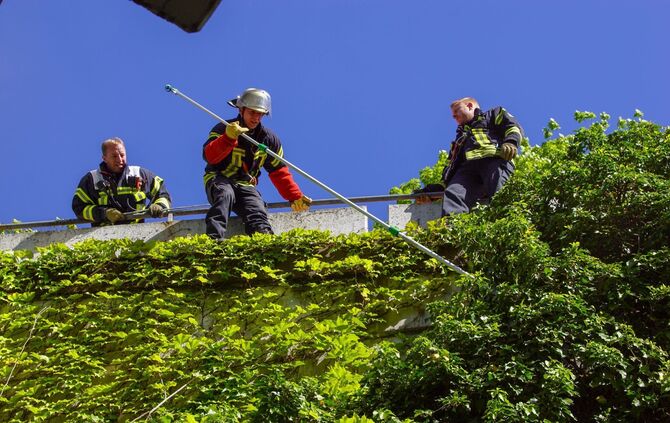 Feuerwehr Polizei Waschbär Klinikum Rettung Stuttgart_8