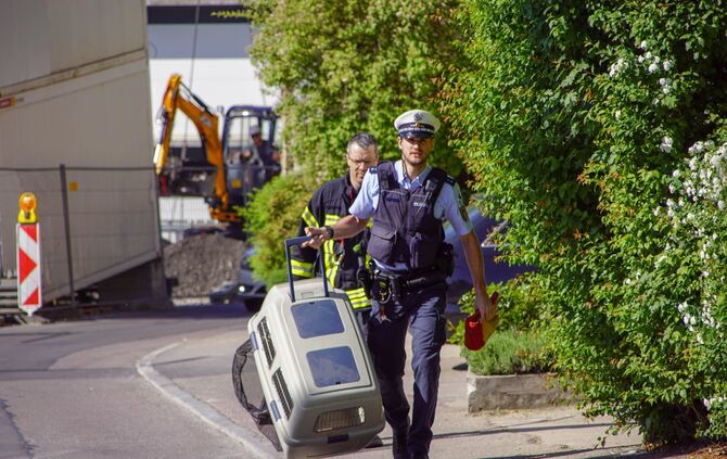 Feuerwehr Polizei Waschbär Klinikum Rettung Stuttgart_11
