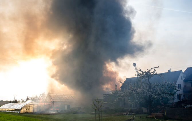 Großbrand in Gärtnerei - Bild 01_6