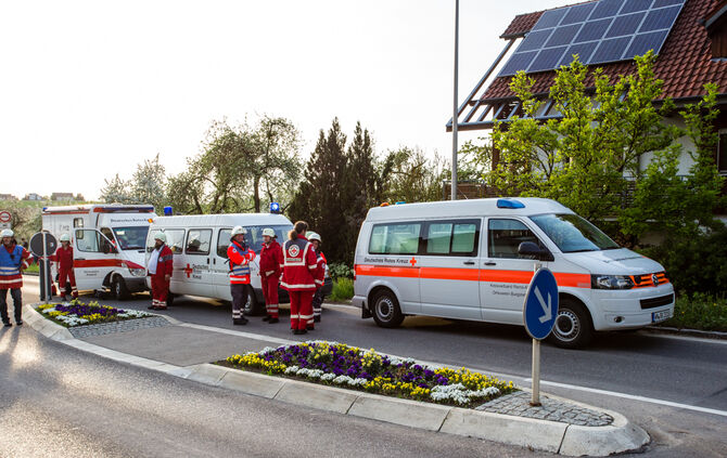 Großbrand in Gärtnerei - Bild 35_9