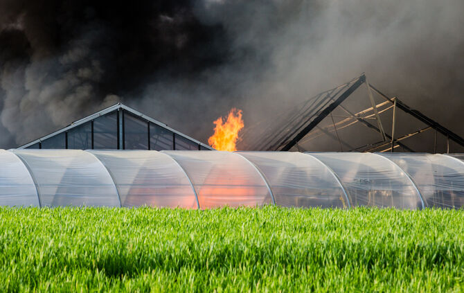 Großbrand in Gärtnerei - Bild 26_18