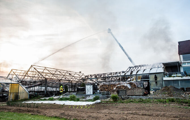 Großbrand in Gärtnerei - Bild 24_20
