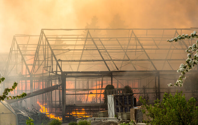Großbrand in Gärtnerei - Bild 18_26