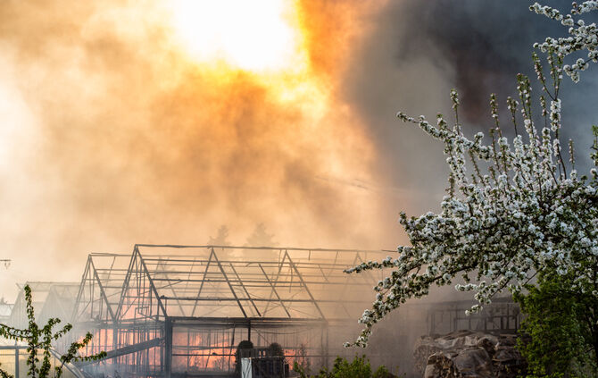 Großbrand in Gärtnerei - Bild 17_27