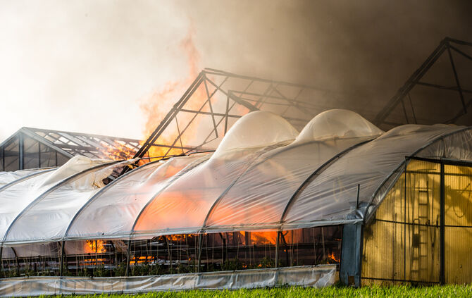 Großbrand in Gärtnerei - Bild 16_28