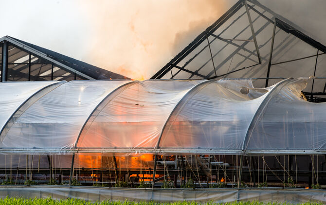 Großbrand in Gärtnerei - Bild 15_29