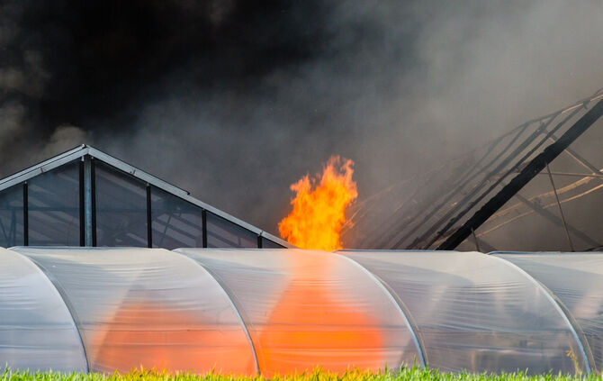 Großbrand in Gärtnerei - Bild 10_34