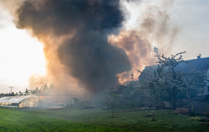 Großbrand in Gärtnerei - Bild 09_35