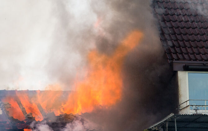 Großbrand in Gärtnerei - Bild 07_37