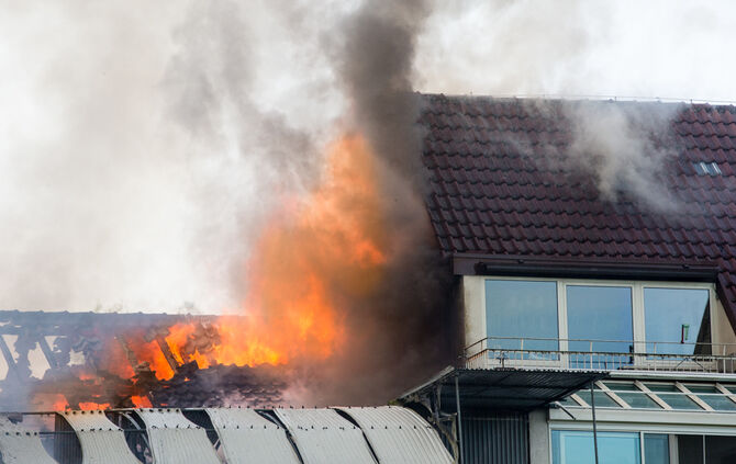 Großbrand in Gärtnerei - Bild 06_38