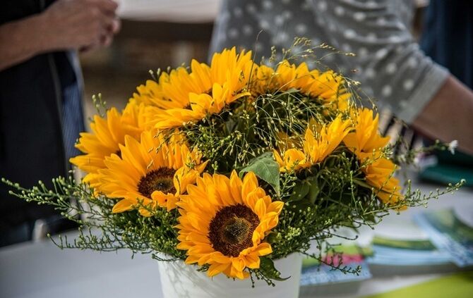 Einweihung Seeplatz - Bild 06_5