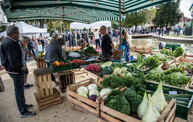 Einweihung Seeplatz - Bild 13_12