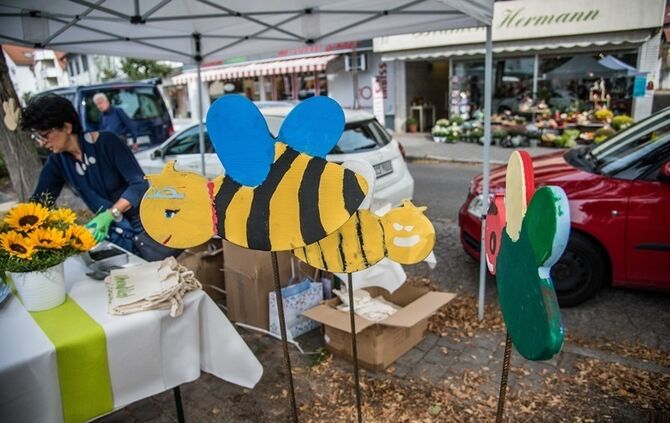 Einweihung Seeplatz - Bild 15_14