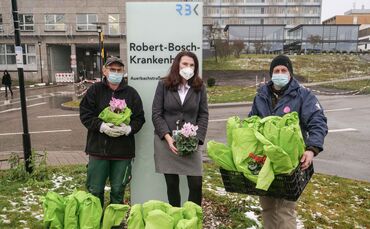 Wilhelma spendet Alpenveilchen an Robert-Bosch-Krankenhaus 15.01.2021