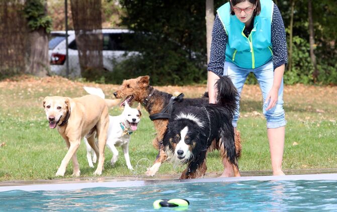 Hundebadetag Kernen-Stetten_2