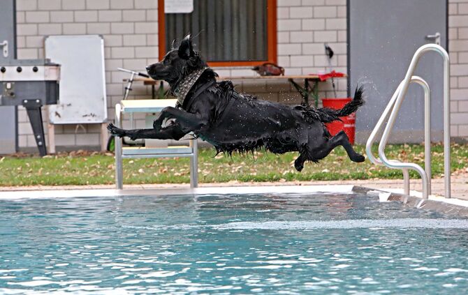 Hundebadetag Kernen-Stetten_10