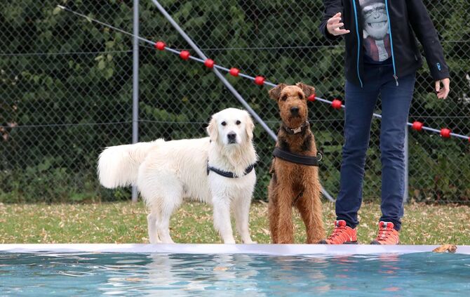 Hundebadetag Kernen-Stetten_13