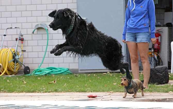 Hundebadetag Kernen-Stetten_15