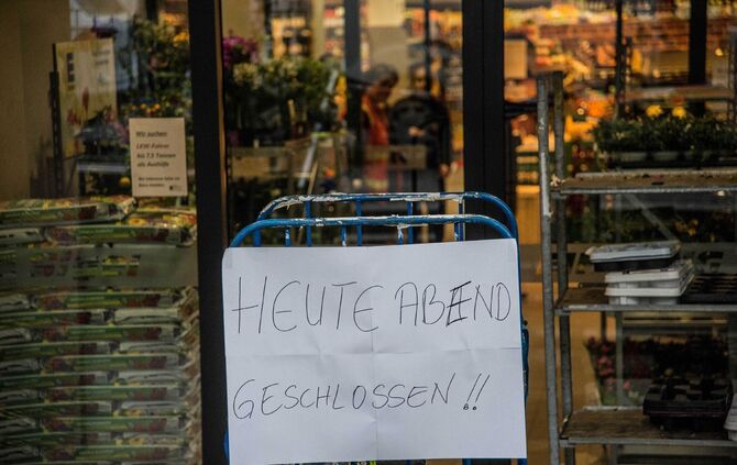 Spinne Esslingen Edeka Supermarkt Gift_1